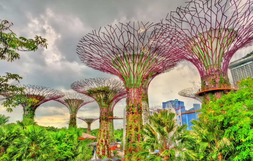3d2n Singapore with City Experience