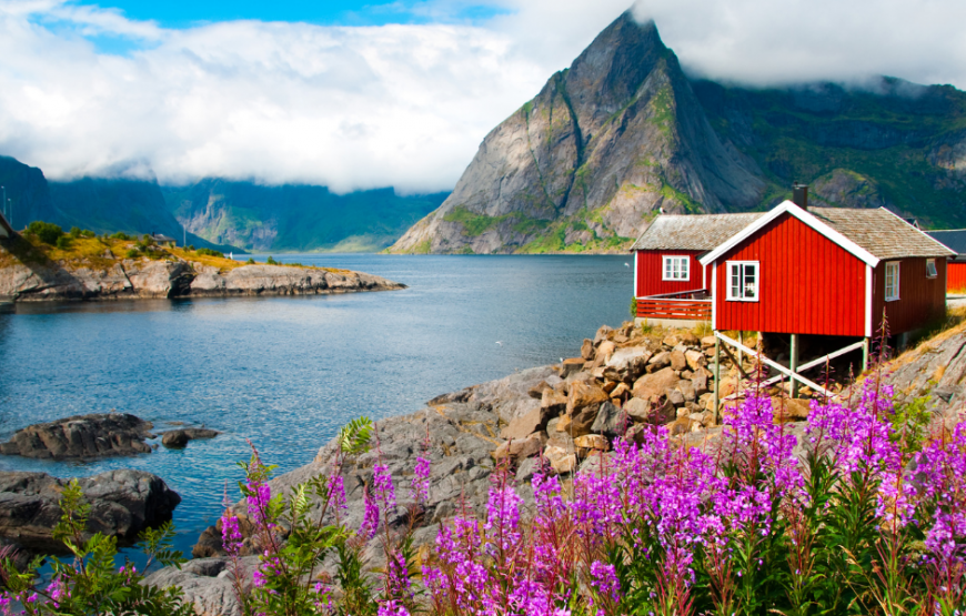 Norweigian Fjord (Single Country – Norway )
