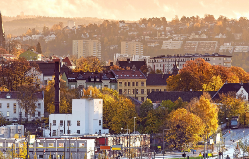 Norweigian Fjord (Single Country – Norway )