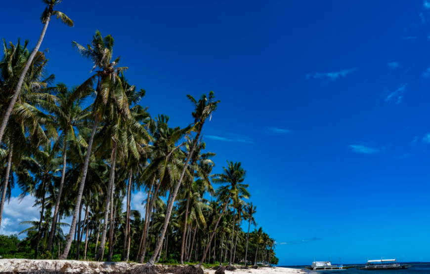 Bohol Tour Package – Mithi Resort And Spa