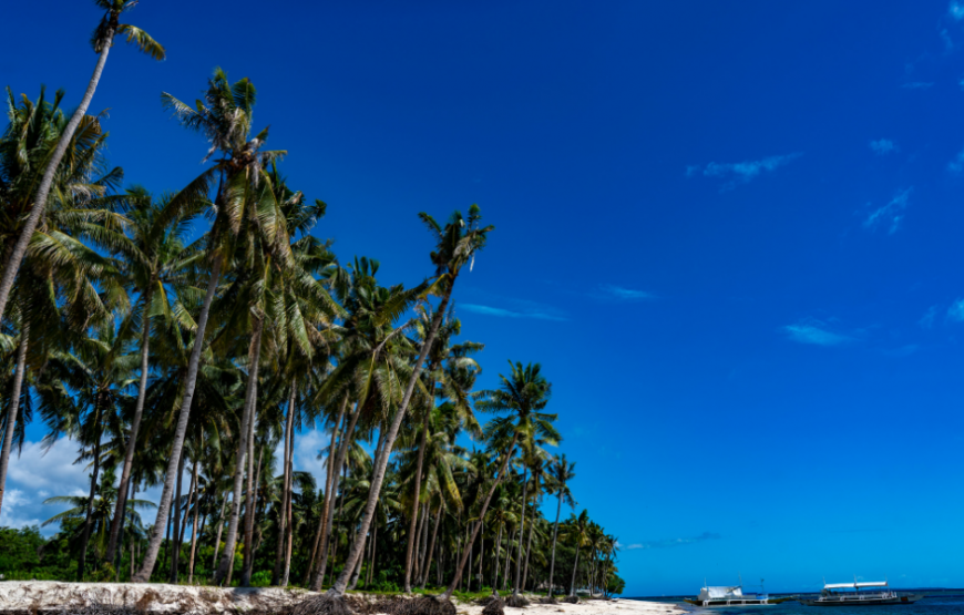 Bohol Tour Package – Bohol Shores