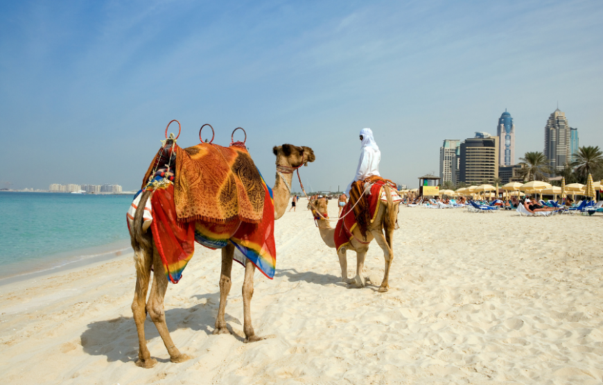 Dubai Summer Deals (Raviz Center Point Hotel)