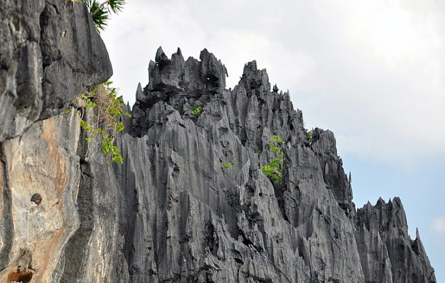 El Nido land Arrangement ( Den’ Gi Inn)