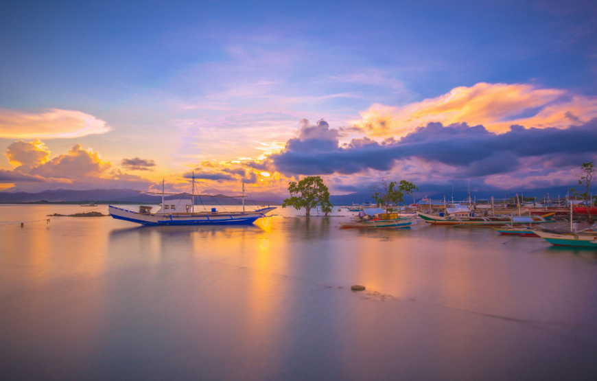 Puerto Princesa Tour Package (Acacia Tree Garden)