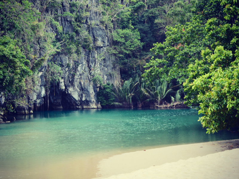 Puerto Princesa Tour Package (Acacia Tree Garden)