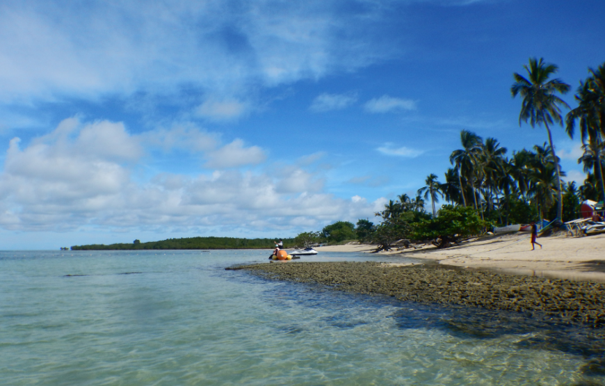 Puerto Princesa Tour Package (Acacia Tree Garden)