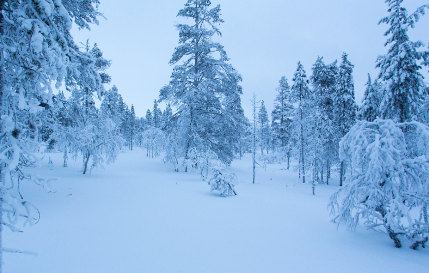 2canGo Magic Lapland
