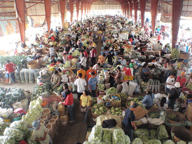 If You Are A Vegan, Visit the Philippines!