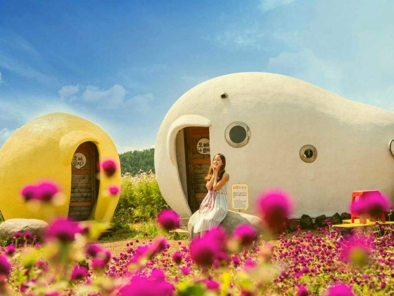 3D2N Mystical Jeju Korea Tour Package